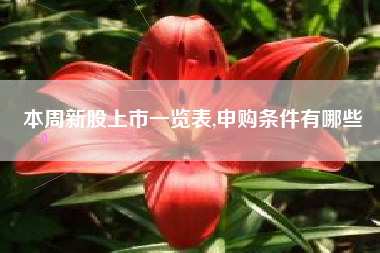 本周新股上市一览表,申购条件有哪些