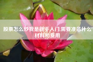 股票怎么炒我是新手入门,需要准备什么材料和费用