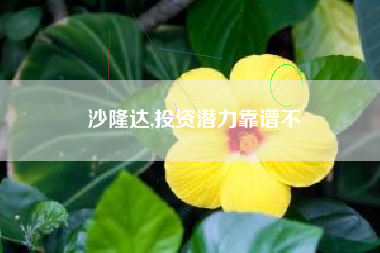 沙隆达,投资潜力靠谱不