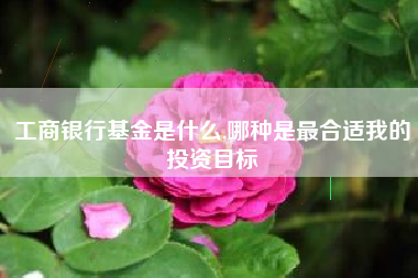 工商银行基金是什么,哪种是最合适我的投资目标