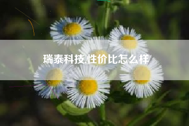 瑞泰科技,性价比怎么样