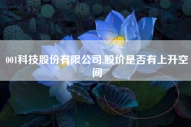 001科技股份有限公司,股价是否有上升空间