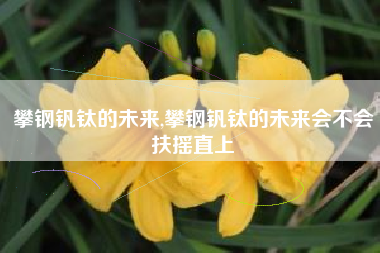 攀钢钒钛的未来,攀钢钒钛的未来会不会扶摇直上