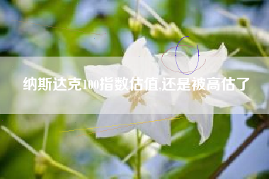 纳斯达克100指数估值,还是被高估了