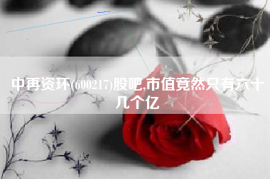 中再资环(600217)股吧,市值竟然只有六十几个亿