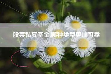 股票私募基金,哪种类型更加可靠