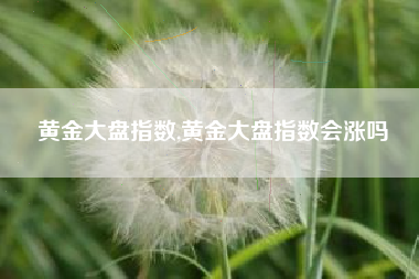 黄金大盘指数,黄金大盘指数会涨吗