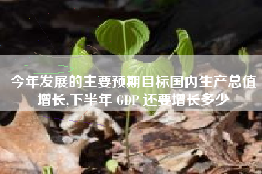 今年发展的主要预期目标国内生产总值增长,下半年 GDP 还要增长多少