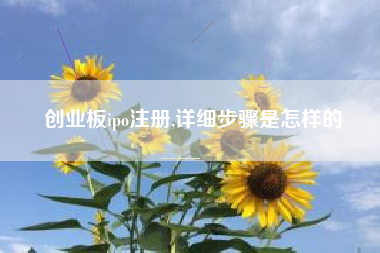 创业板ipo注册,详细步骤是怎样的