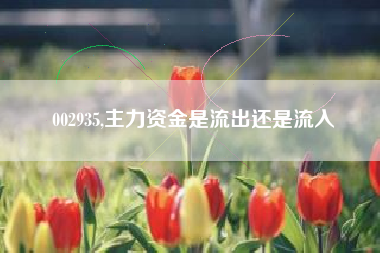 002935,主力资金是流出还是流入