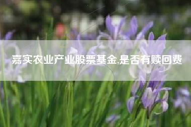 嘉实农业产业股票基金,是否有赎回费