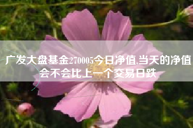 广发大盘基金270005今日净值,当天的净值会不会比上一个交易日跌