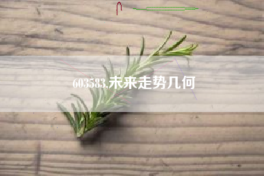 603583,未来走势几何