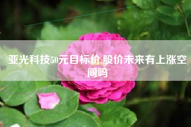 亚光科技50元目标价,股价未来有上涨空间吗