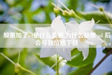 股票加了xd是什么意思,为什么股票 xd 后会导致价格下跌