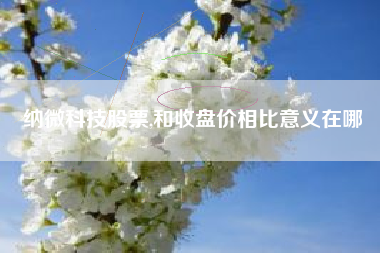 纳微科技股票,和收盘价相比意义在哪