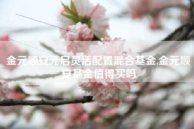 金元顺安元启灵活配置混合基金,金元顺安基金值得买吗