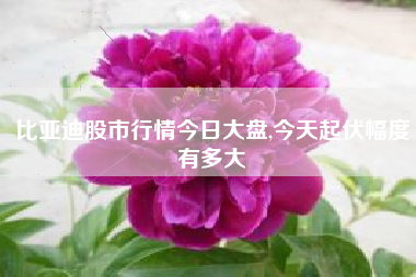 比亚迪股市行情今日大盘,今天起伏幅度有多大