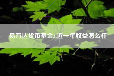 易方达货币基金a,近一年收益怎么样
