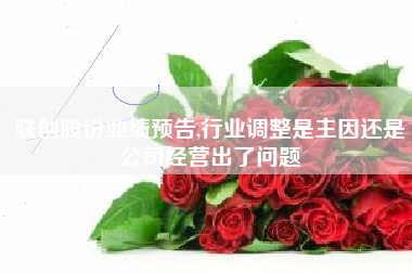 联创股份业绩预告,行业调整是主因还是公司经营出了问题