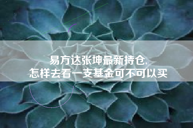 易方达张坤最新持仓,
怎样去看一支基金可不可以买