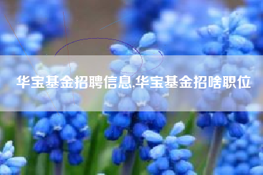 华宝基金招聘信息,华宝基金招啥职位