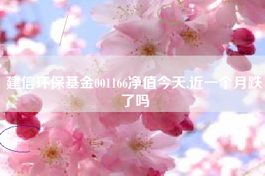 建信环保基金001166净值今天,近一个月跌了吗