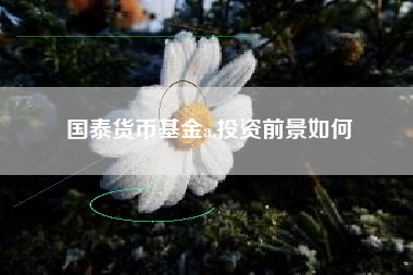 国泰货币基金a,投资前景如何