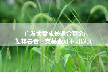 广发大盘成长混合基金(
怎样去看一支基金可不可以买) 广发大盘成长混合基金(
怎样去看一支基金可不可以买)