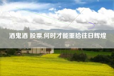 酒鬼酒 股票,何时才能重拾往日辉煌