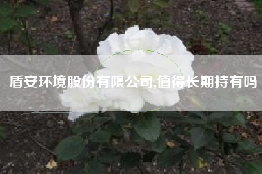 盾安环境股份有限公司,值得长期持有吗