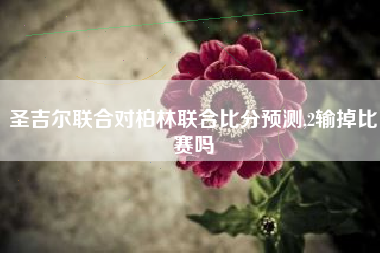 圣吉尔联合对柏林联合比分预测,2输掉比赛吗