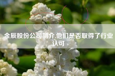 金辰股份公司简介,他们是否取得了行业认可