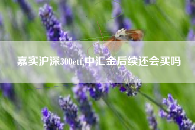 嘉实沪深300etf,中汇金后续还会买吗