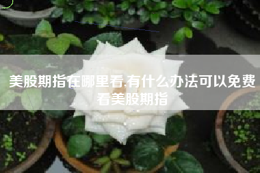 美股期指在哪里看,有什么办法可以免费看美股期指