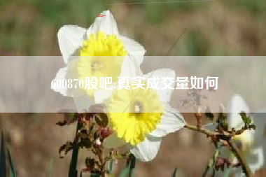 600870股吧,真实成交量如何