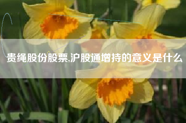 贵绳股份股票,沪股通增持的意义是什么