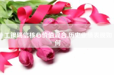 工银瑞信核心价值混合,历史业绩表现如何