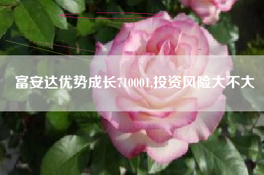 富安达优势成长710001,投资风险大不大