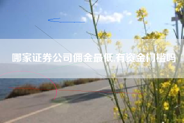 哪家证券公司佣金最低,有资金门槛吗