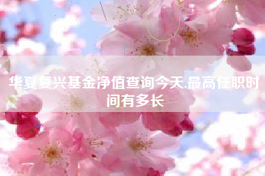 华夏复兴基金净值查询今天,最高任职时间有多长