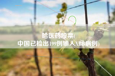 哈医药股票(
中国已检出199例输入XBB病例)