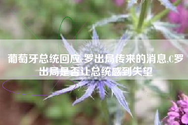 葡萄牙总统回应c罗出局传来的消息,C罗出局是否让总统感到失望
