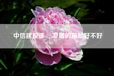 中信建投证劵,发展的前景好不好