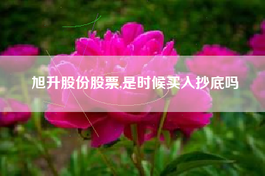 旭升股份股票,是时候买入抄底吗