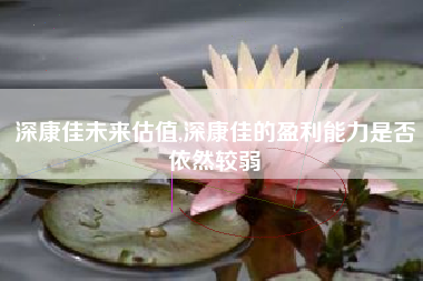深康佳未来估值,深康佳的盈利能力是否依然较弱