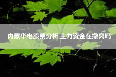 内蒙华电股票分析,主力资金在撤离吗