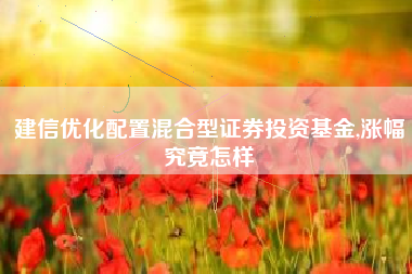 建信优化配置混合型证券投资基金,涨幅究竟怎样