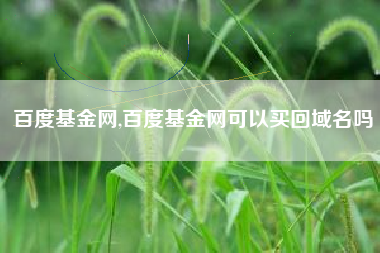 百度基金网,百度基金网可以买回域名吗