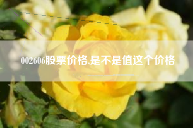 002606股票价格,是不是值这个价格